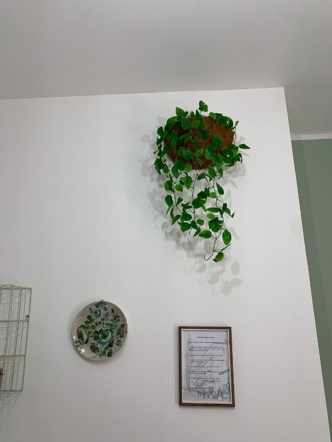 "L' Industrial Green" Apartment Casale Monferrato Eksteriør billede